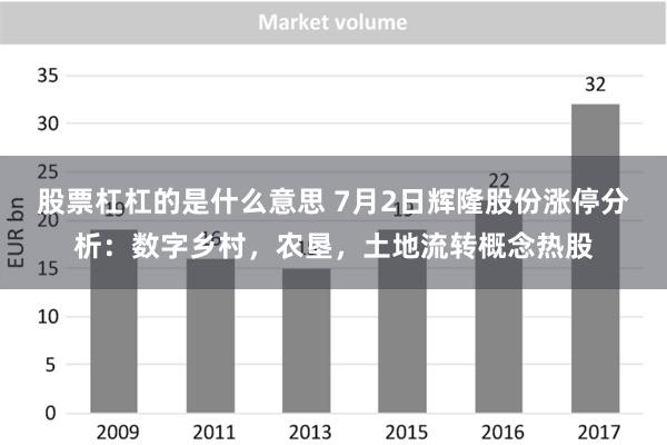 股票杠杠的是什么意思 7月2日辉隆股份涨停分析：数字乡村，农垦，土地流转概念热股