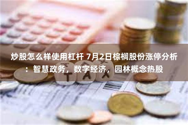 炒股怎么样使用杠杆 7月2日棕榈股份涨停分析：智慧政务，数字经济，园林概念热股