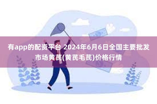 有app的配资平台 2024年6月6日全国主要批发市场黄芪(黄芪毛芪)价格行情