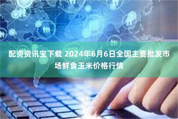 配资资讯宝下载 2024年6月6日全国主要批发市场鲜食玉米价格行情