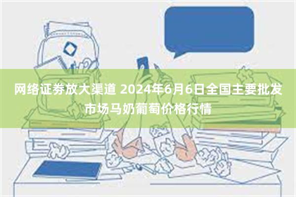 网络证劵放大渠道 2024年6月6日全国主要批发市场马奶葡萄价格行情