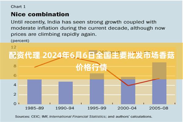 配资代理 2024年6月6日全国主要批发市场香菇价格行情