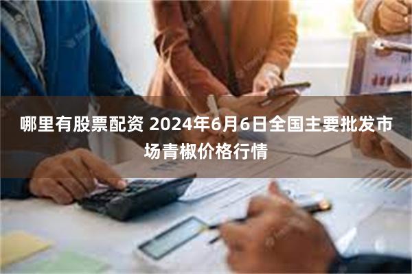 哪里有股票配资 2024年6月6日全国主要批发市场青椒价格行情