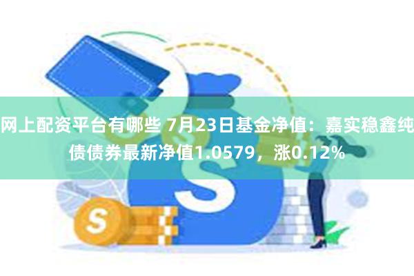 网上配资平台有哪些 7月23日基金净值：嘉实稳鑫纯债债券最新净值1.0579，涨0.12%