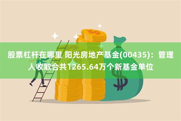 股票杠杆在哪里 阳光房地产基金(00435)：管理人收取合共1265.64万个新基金单位