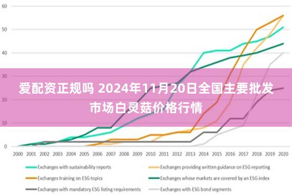 爱配资正规吗 2024年11月20日全国主要批发市场白灵菇价格行情