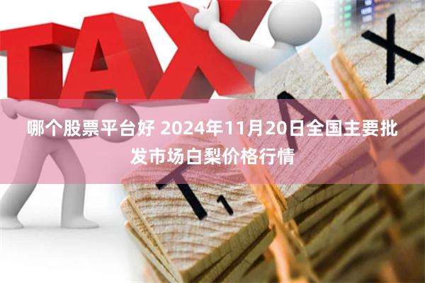 哪个股票平台好 2024年11月20日全国主要批发市场白梨价格行情