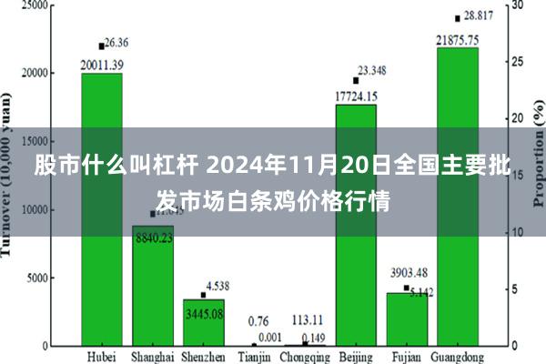 股市什么叫杠杆 2024年11月20日全国主要批发市场白条鸡价格行情