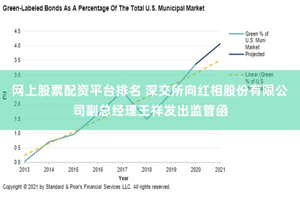 网上股票配资平台排名 深交所向红相股份有限公司副总经理王祥发出监管函