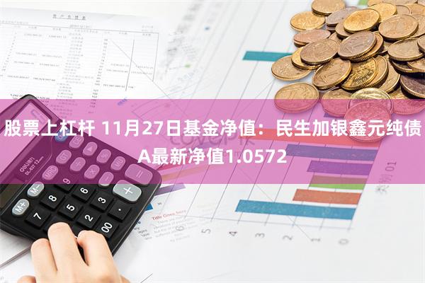 股票上杠杆 11月27日基金净值：民生加银鑫元纯债A最新净值1.0572