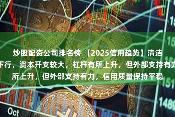 炒股配资公司排名榜 【2025信用趋势】清洁能源发电：盈利能力下行，资本开支较大，杠杆有所上升，但外部支持有力，信用质量保持平稳