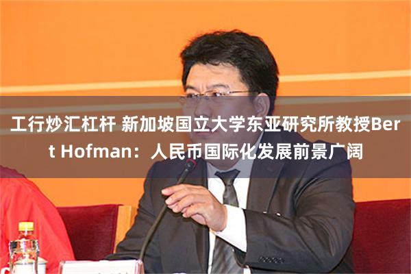 工行炒汇杠杆 新加坡国立大学东亚研究所教授Bert Hofman：人民币国际化发展前景广阔