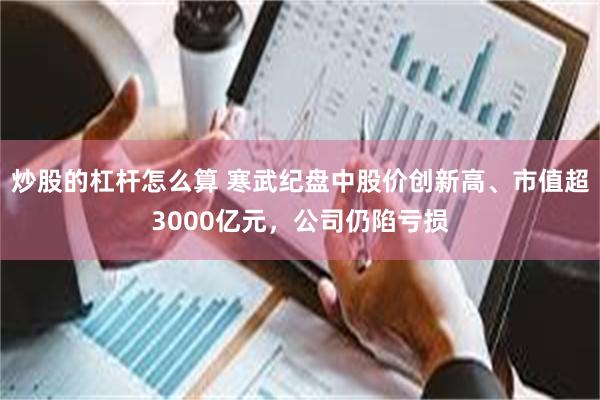 炒股的杠杆怎么算 寒武纪盘中股价创新高、市值超3000亿元，公司仍陷亏损