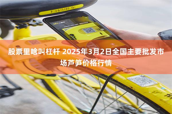 股票里啥叫杠杆 2025年3月2日全国主要批发市场芦笋价格行情